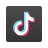TickTok icon